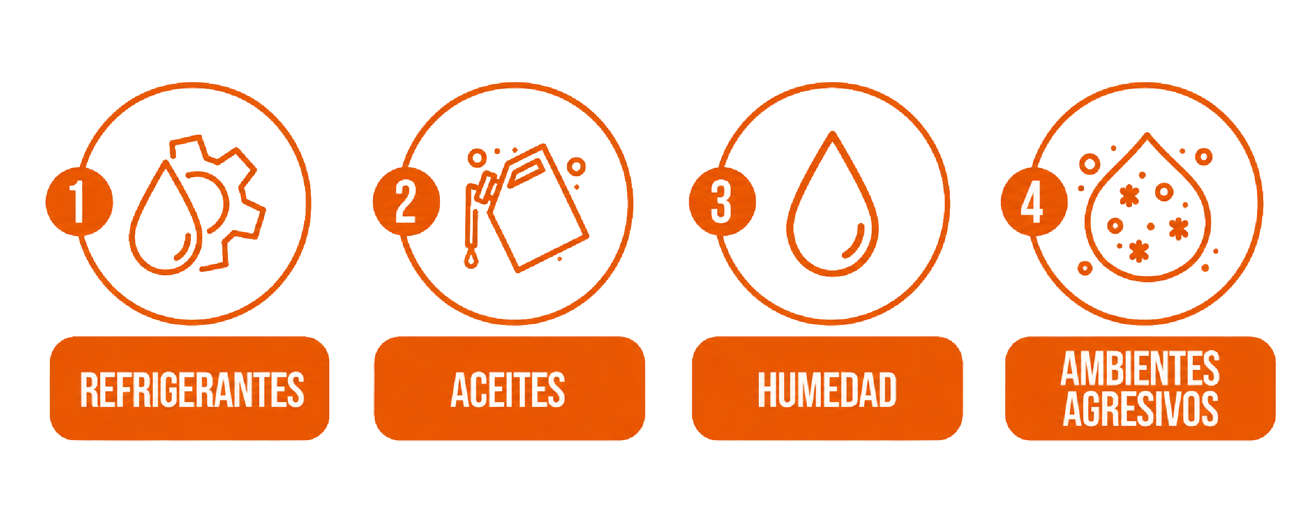 Asset 5
